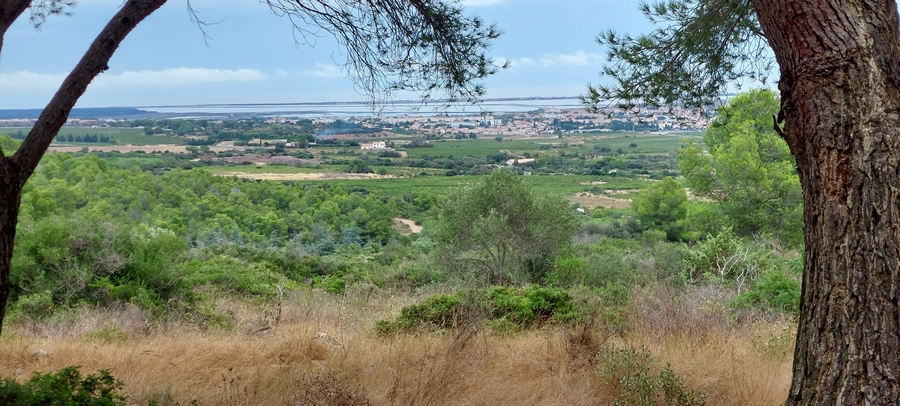 Vue vers Frontignan