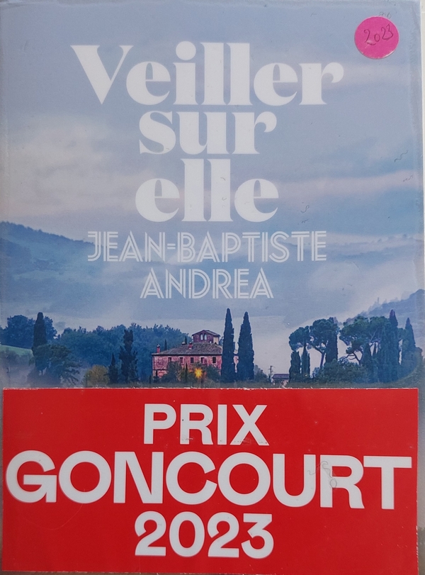 Couverture-veiller-sur-elle.jpg