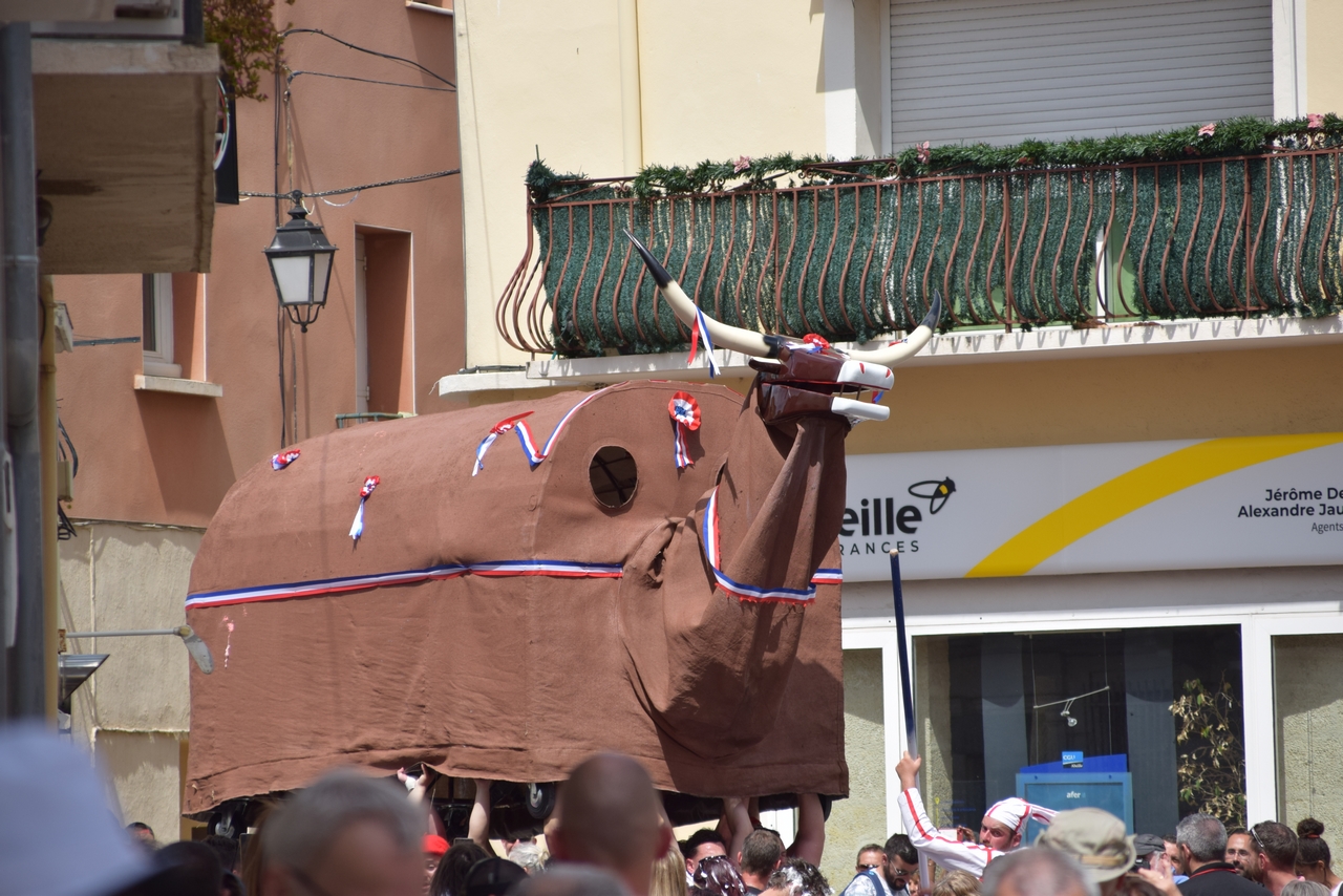 Photo du Bœuf de Mèze