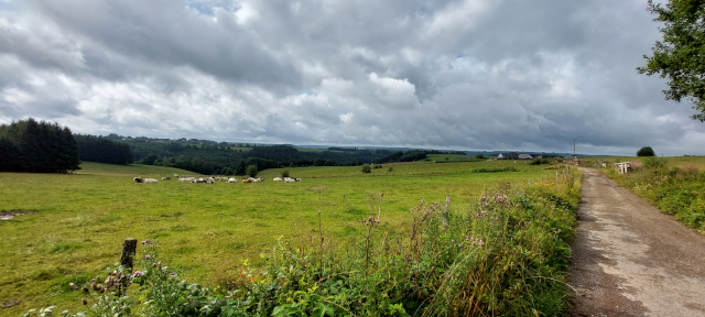 Paysage vallonné