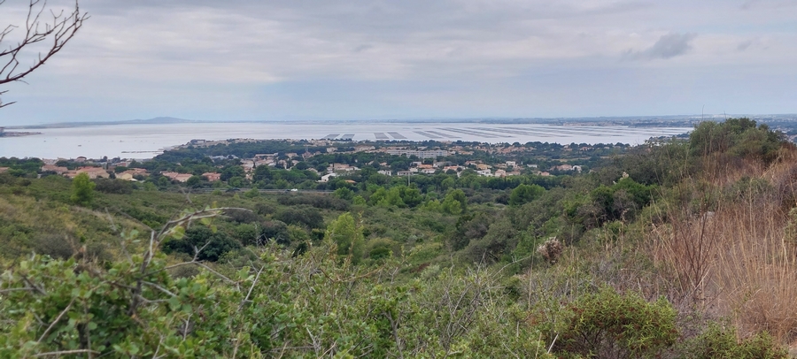 Vue vers l'Etang de Thau