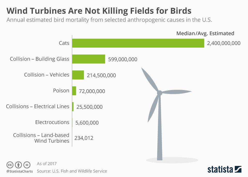 tableau mortalité oiseaux