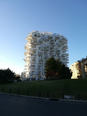 L'Arbre Blanc