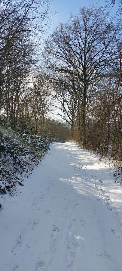 Chemin Sous le Village