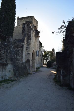 L'entrée du château