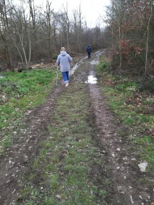 Sur le chemin de la randonnée