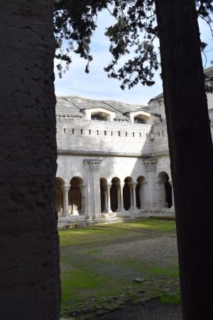 Le cloître Saint-Trophime