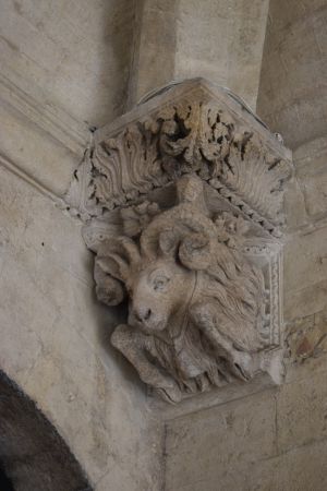 Le cloître Saint-Trophime