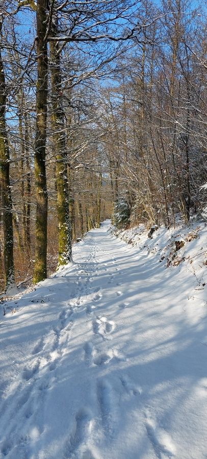 Chemin longeant La Houille