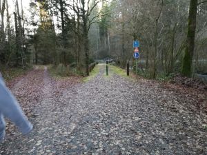 Vers la passerelle givrée