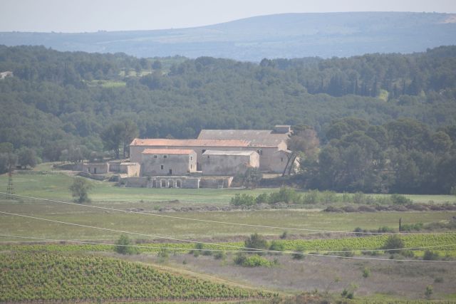 Photo d'un mas dans les vignes